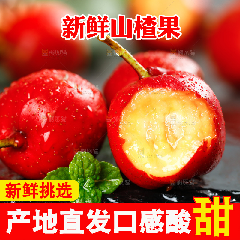 黑底上的山楂