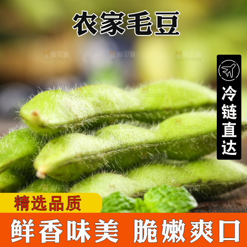 木底上的农家毛豆