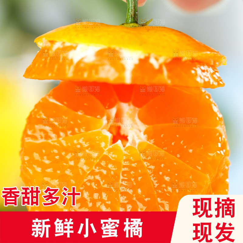 手上拿着砂糖桔果肉