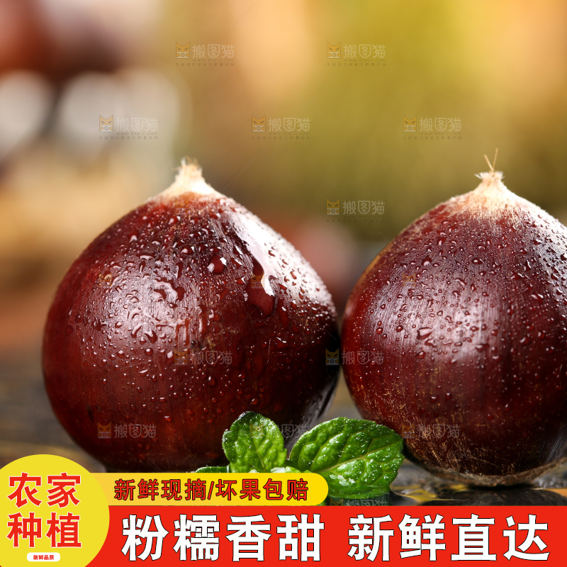 黑底上的栗子