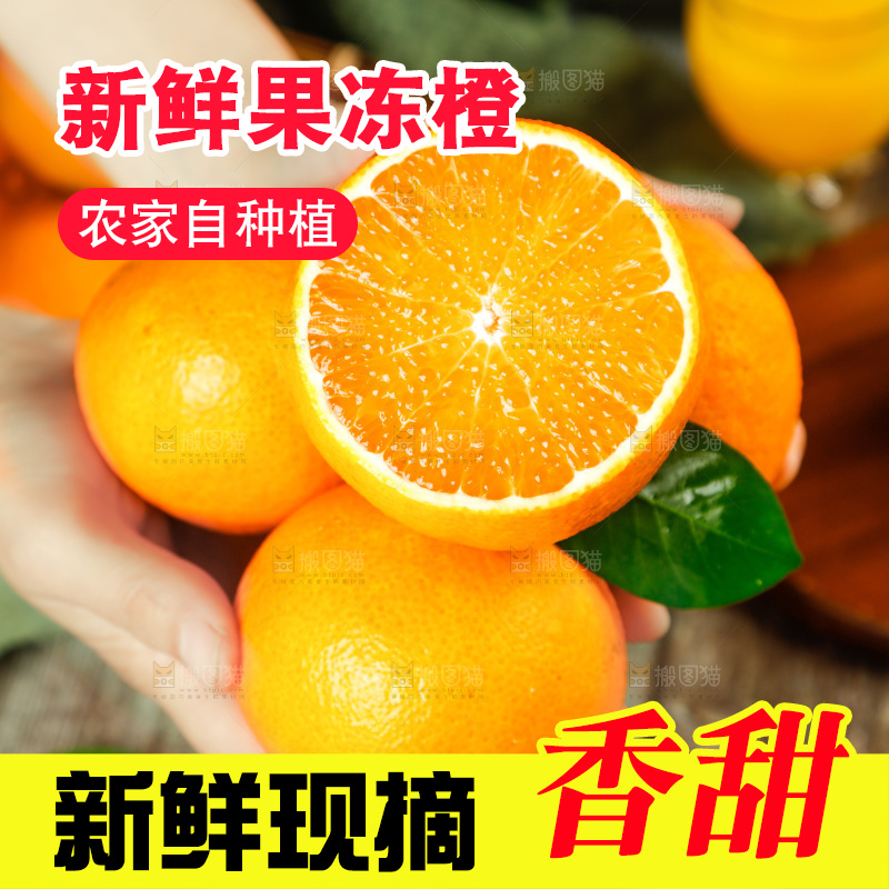 手上捧着爱媛桔橙