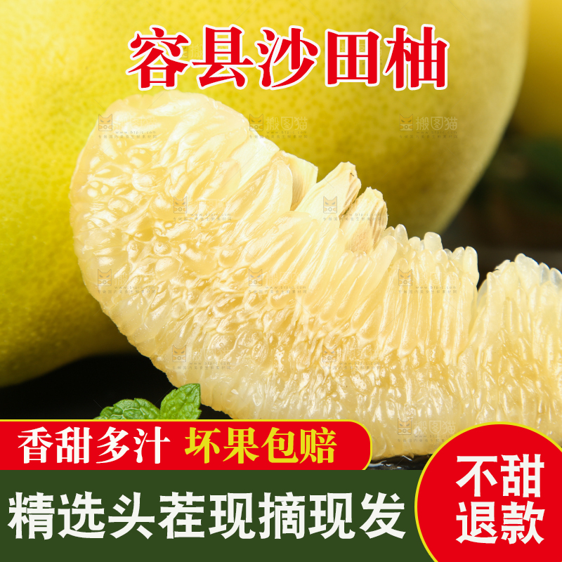 黑底上放着容县沙田柚