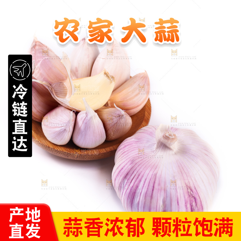 白底上的大蒜