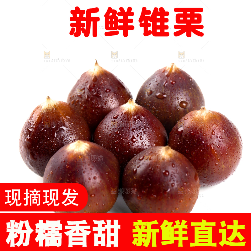 白底上放着一堆新鲜锥栗