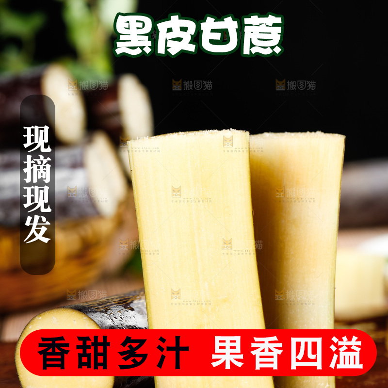 深木底上的广西甘蔗