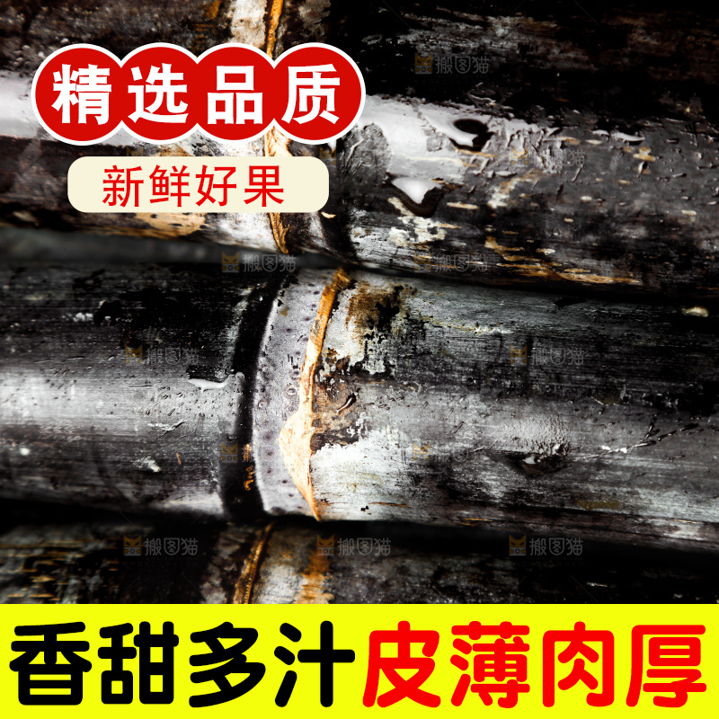 一堆新鲜的甘蔗