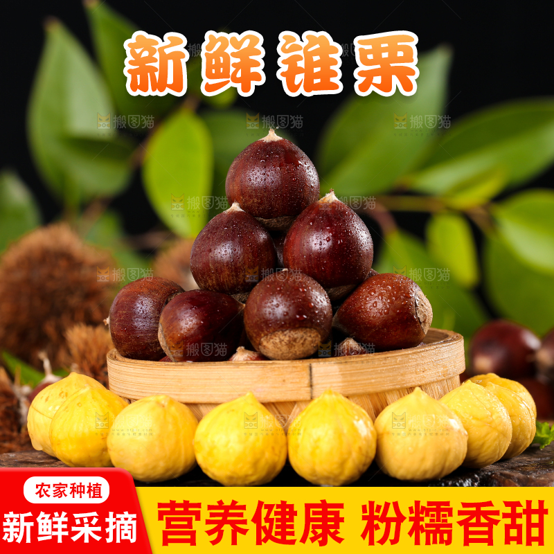 木底上篮子里的锥栗