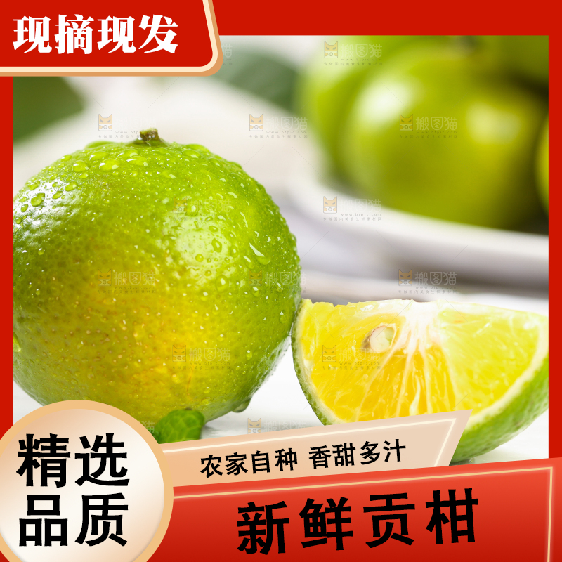 白底上的武鸣皇帝柑