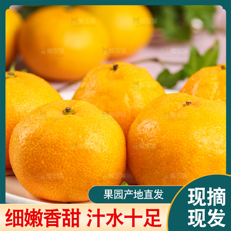 盘子里摆放着椪柑橘