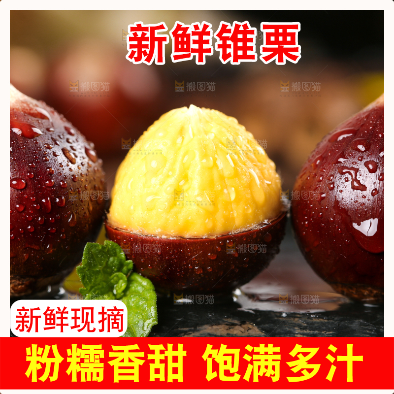 黑底上放着建瓯圆锥栗