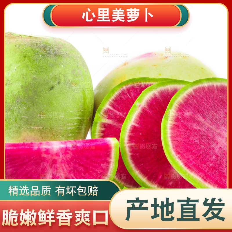 白底上的心里美萝卜