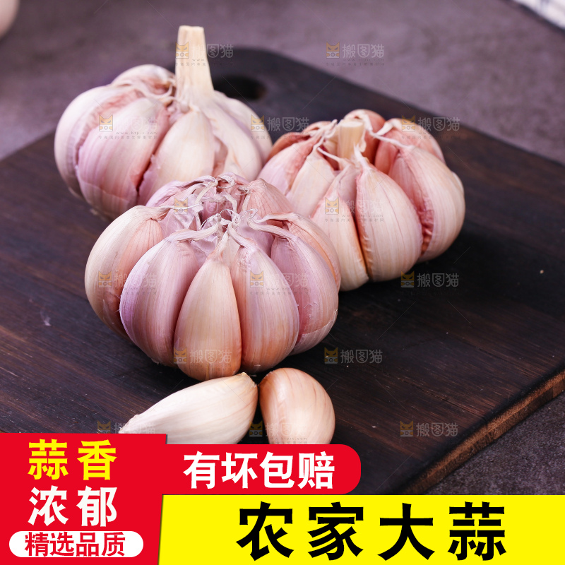 深底上的云南大蒜