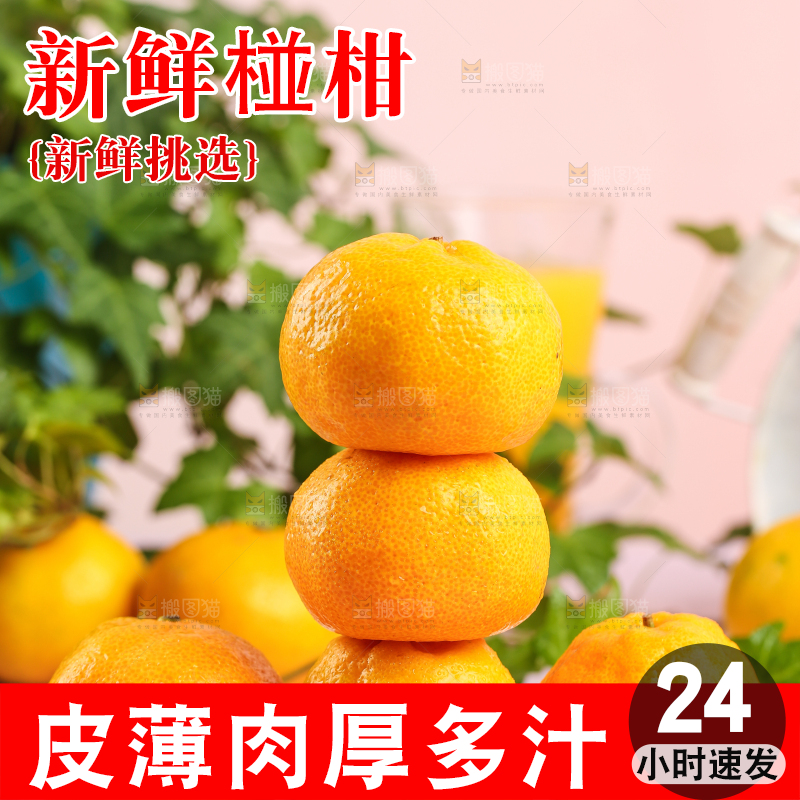 盘子里摆放着椪柑橘