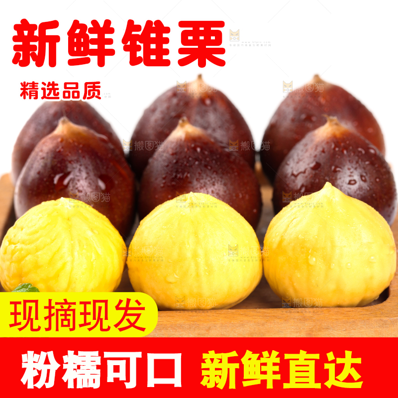 白底上一盘建瓯圆锥栗