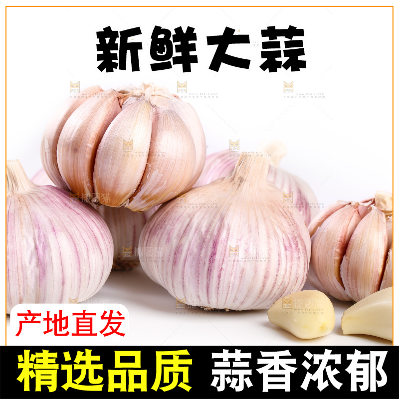 白底上的干大蒜