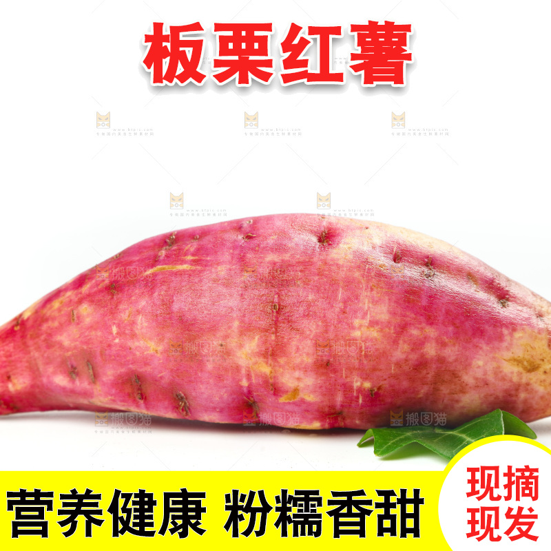 白底上的白心板栗红薯