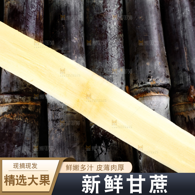 一堆新鲜的广西甘蔗