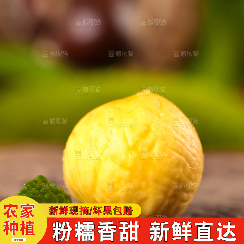 木底上放着锥栗仁