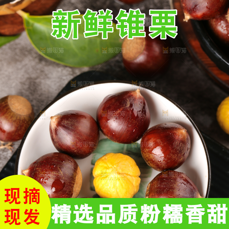 黑底上一盘高山锥栗