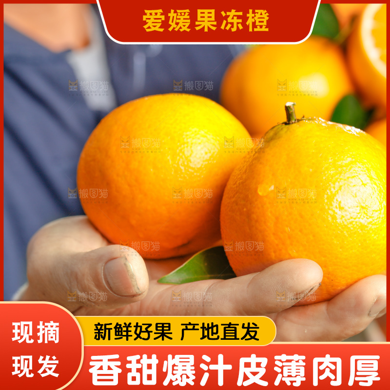 手上拿着四川爱媛果冻橙