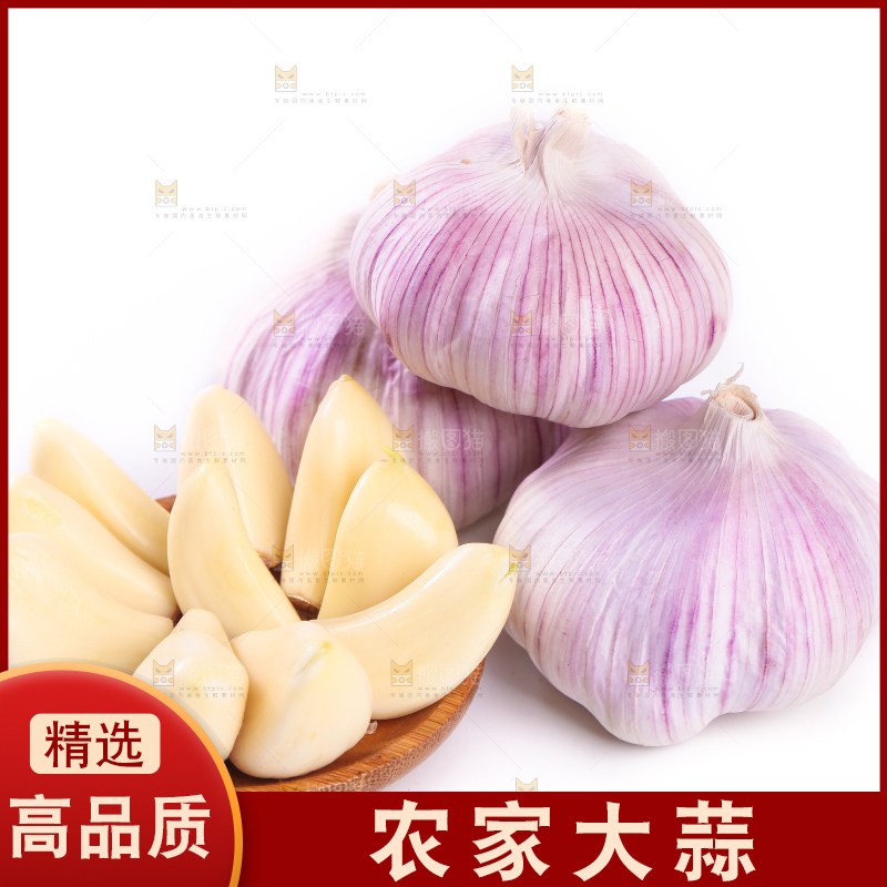 白底上的大蒜