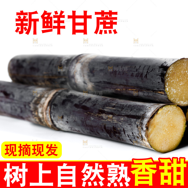 白底上的黑皮甘蔗