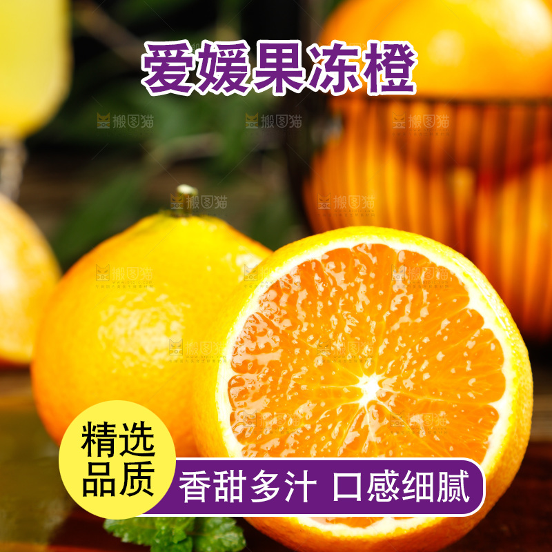 深底上的爱媛38号