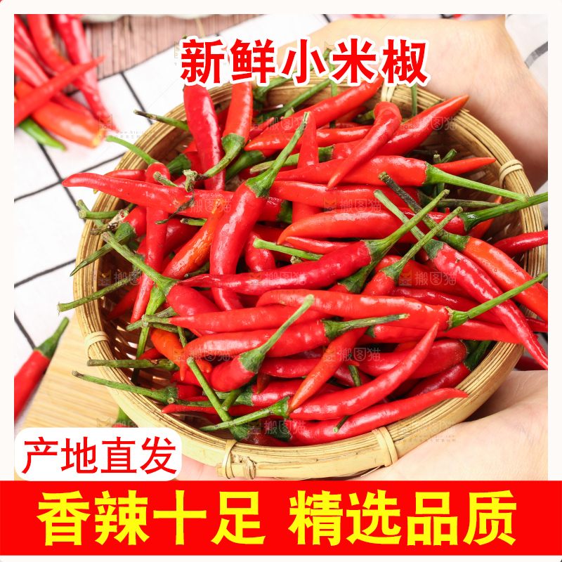 手里捧着红尖椒