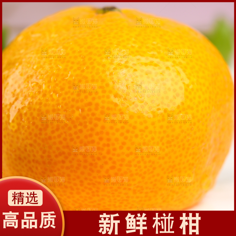 盘子里摆放着椪柑橘