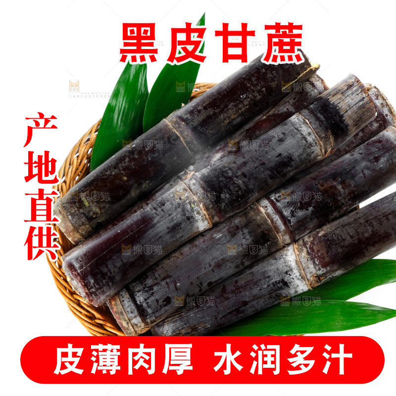 白底上篮子里的甘蔗