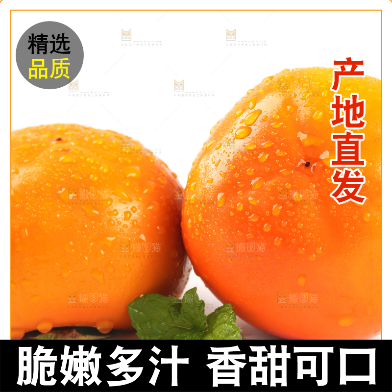 白底上摆放着脆柿子