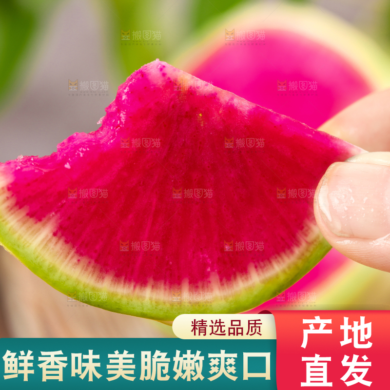 手里拿着红心萝卜