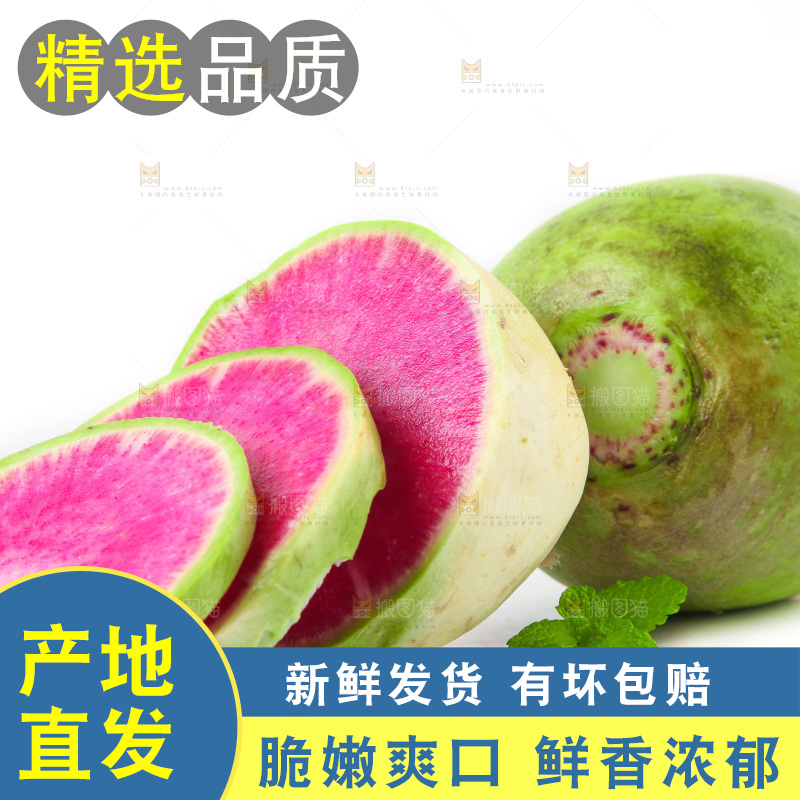 白底上的心里美萝卜
