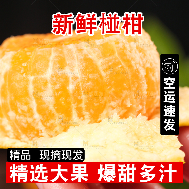 手里拿着芦柑