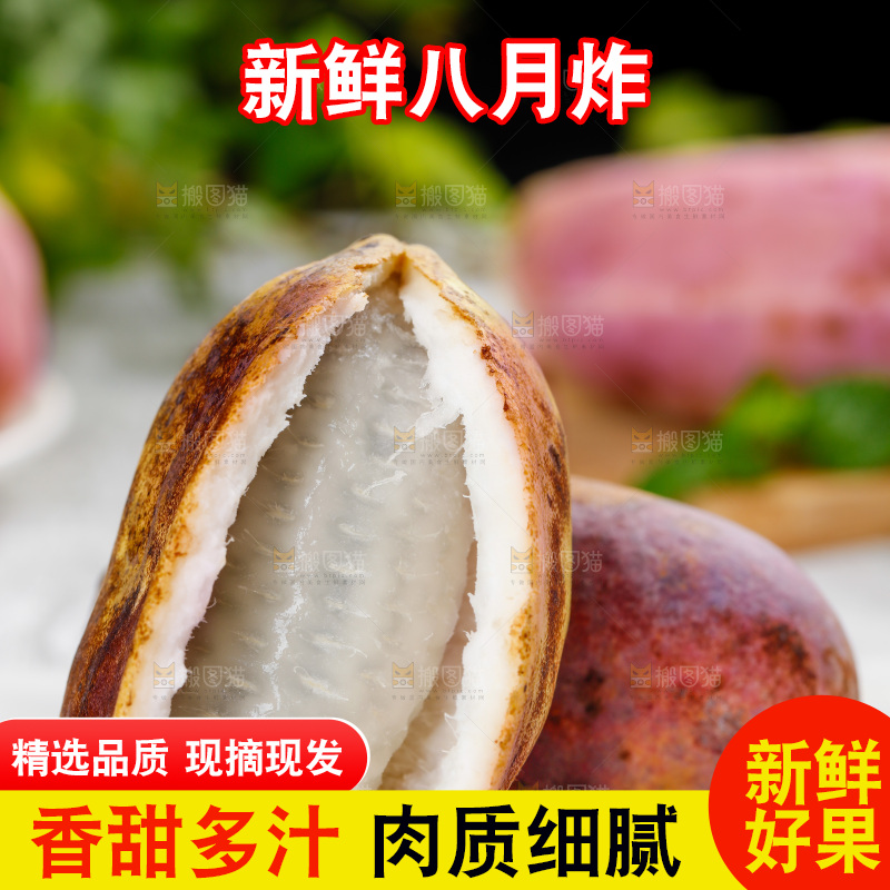白底上摆放着八月瓜
