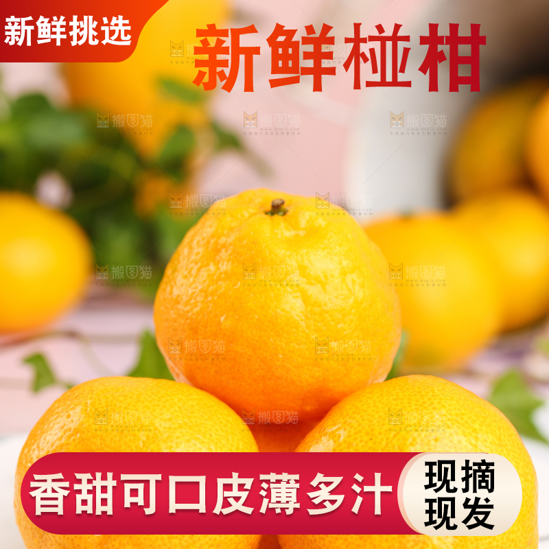 盘子里摆放着椪柑橘