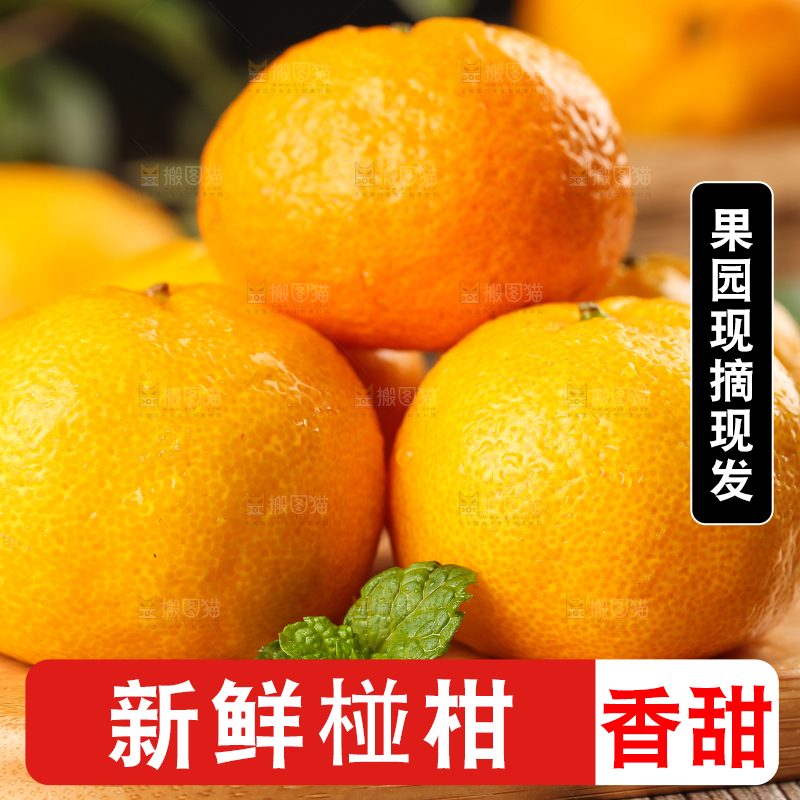 木底上摆放着椪柑