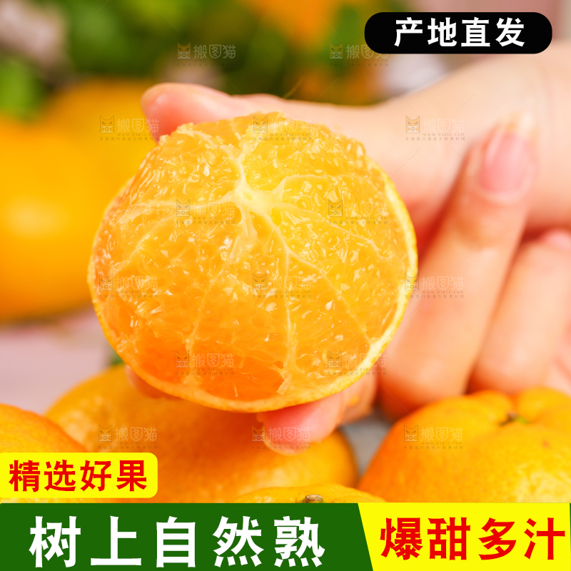 手里拿着芦柑