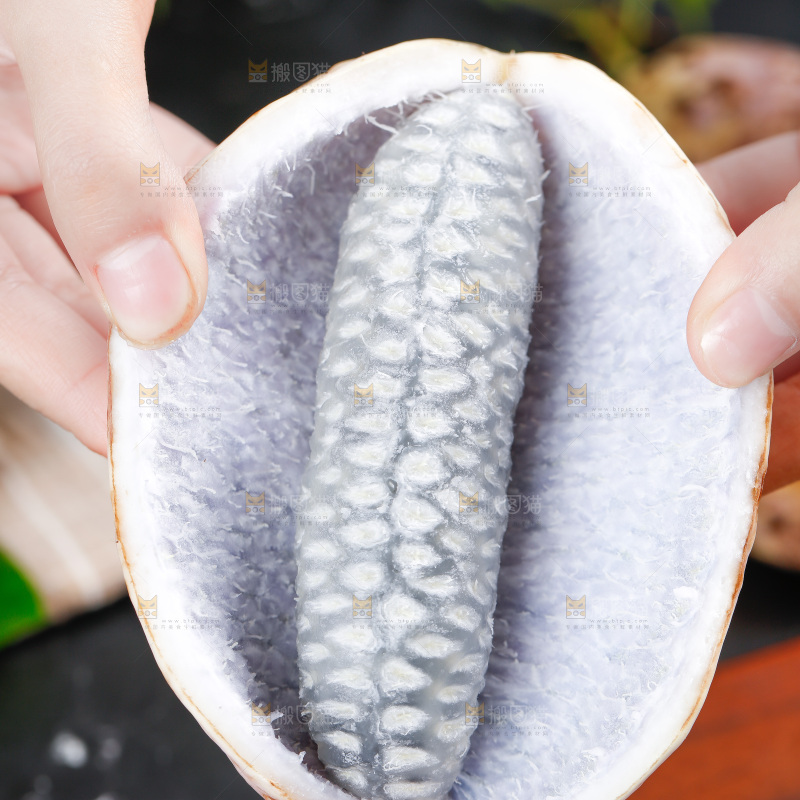 手里拿着八月瓜