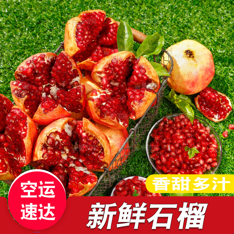 绿地上摆放着石榴