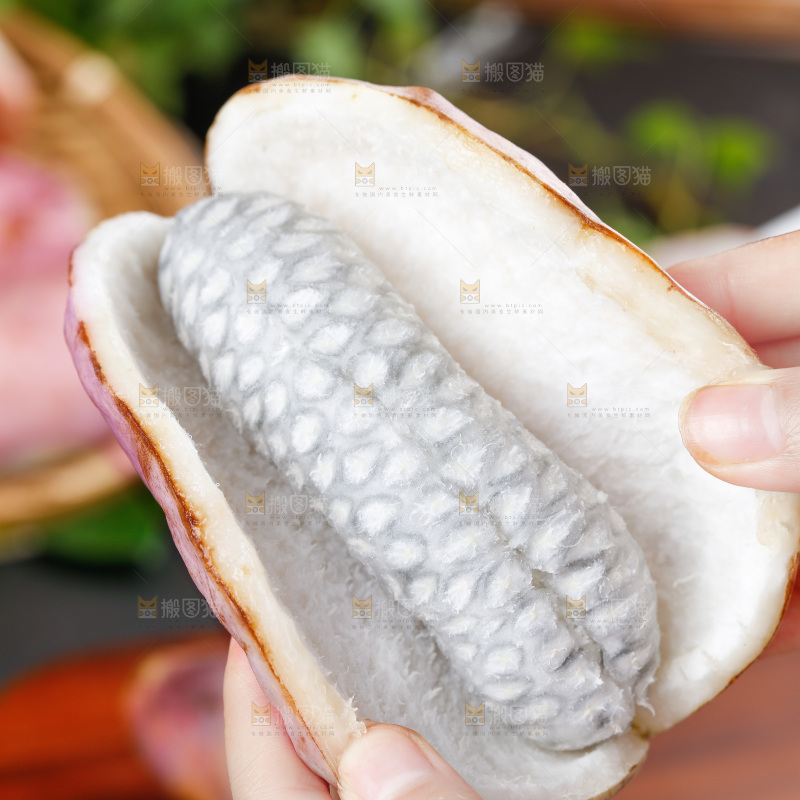 手里拿着紫皮八月瓜