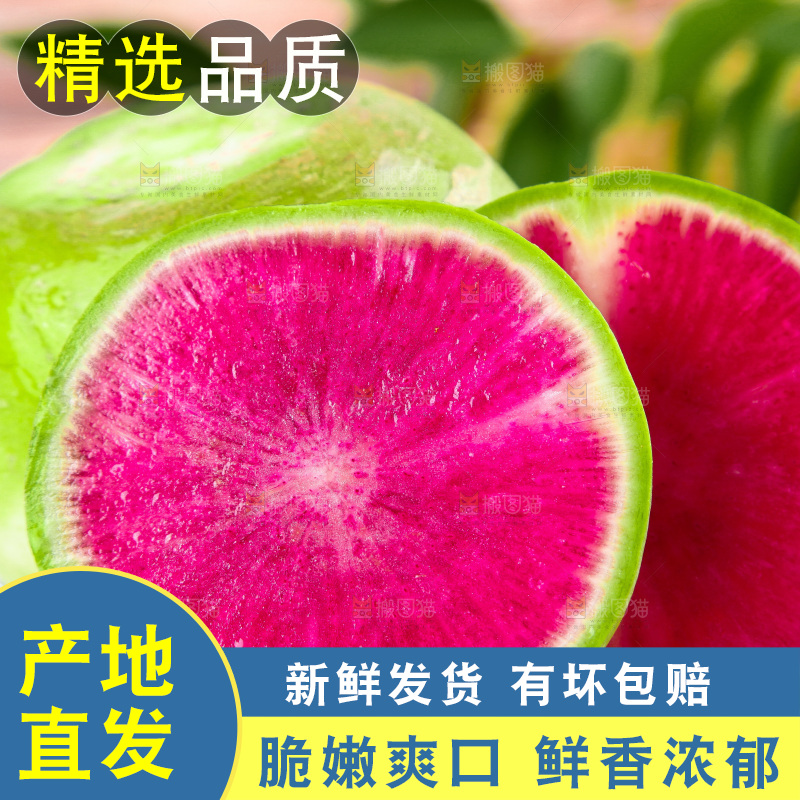 浅底上摆放着心里美萝卜