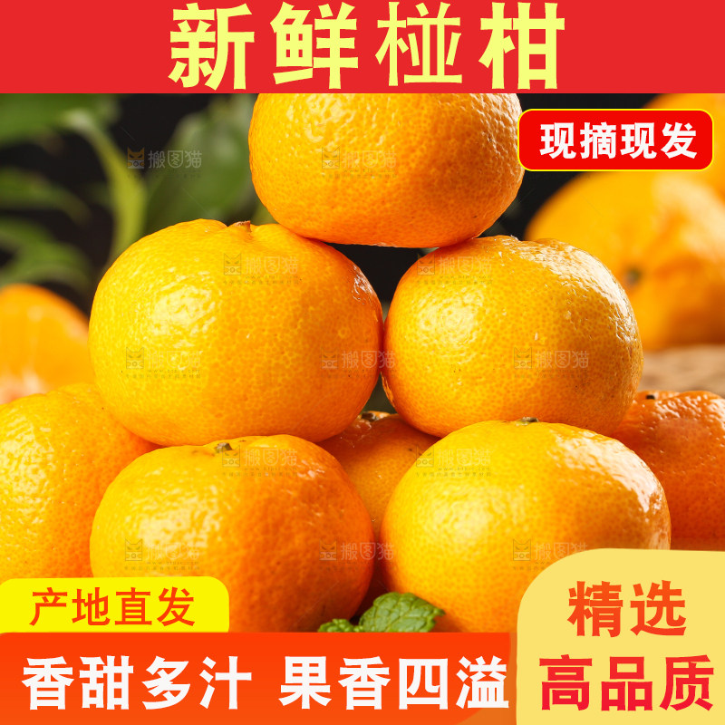 木底上摆放着椪柑