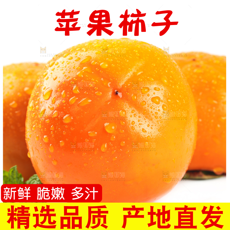 白底上摆放着脆柿子