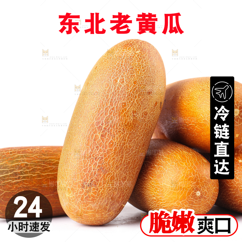 白底上摆放着老黄瓜