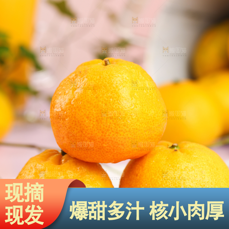 盘子里摆放着椪柑橘
