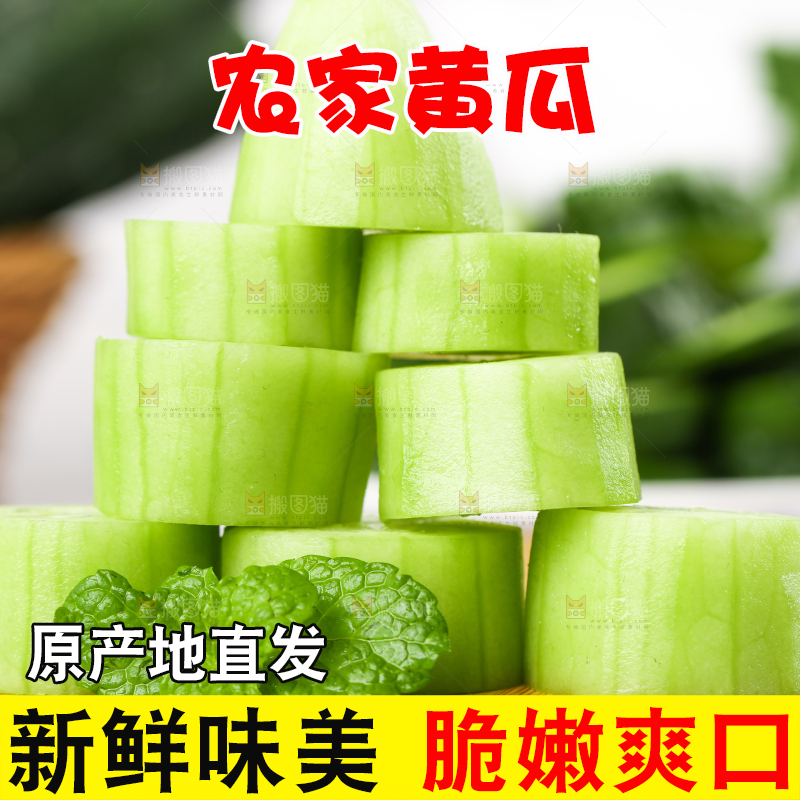 木底上堆放着新鲜黄瓜