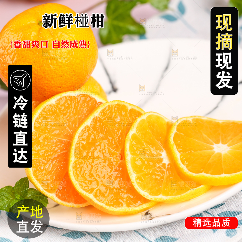 碟子里装着椪柑橘