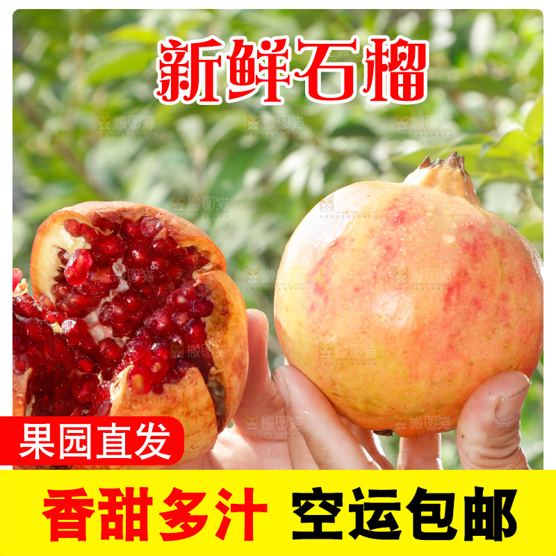 手里拿着红石榴