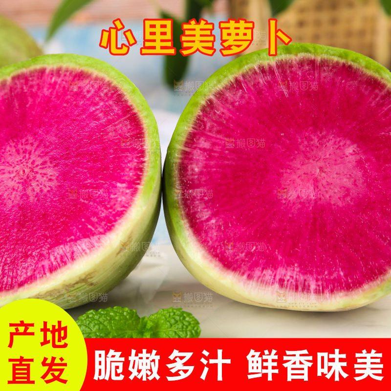 浅底上摆放着心里美萝卜